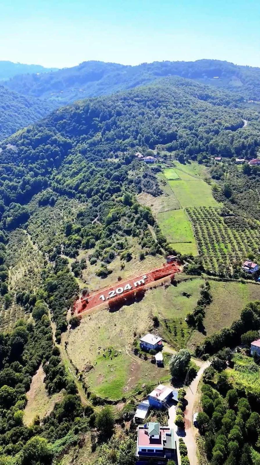 Kurugökçede Projesi Hazır Deniz Manzaralı Tarla — fotoğraf 16