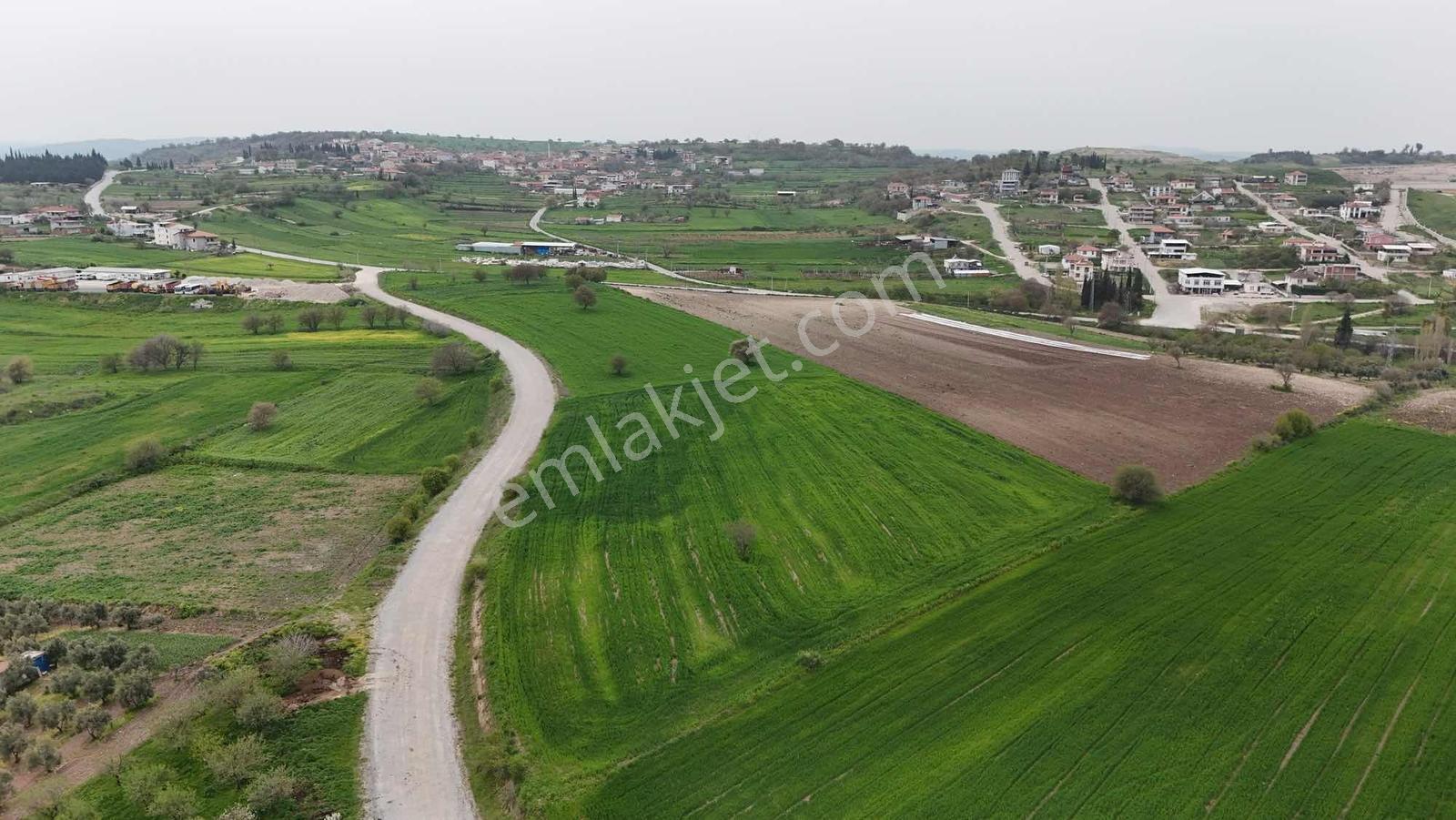 Altıeylül Kabaklı'da Asfalt Cepheli Fırsat Arazi! — fotoğraf 3
