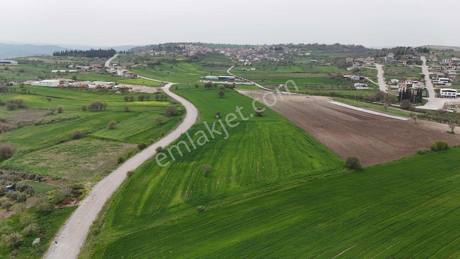 Altıeylül Kabaklı'da Asfalt Cepheli Fırsat Arazi! — fotoğraf 4