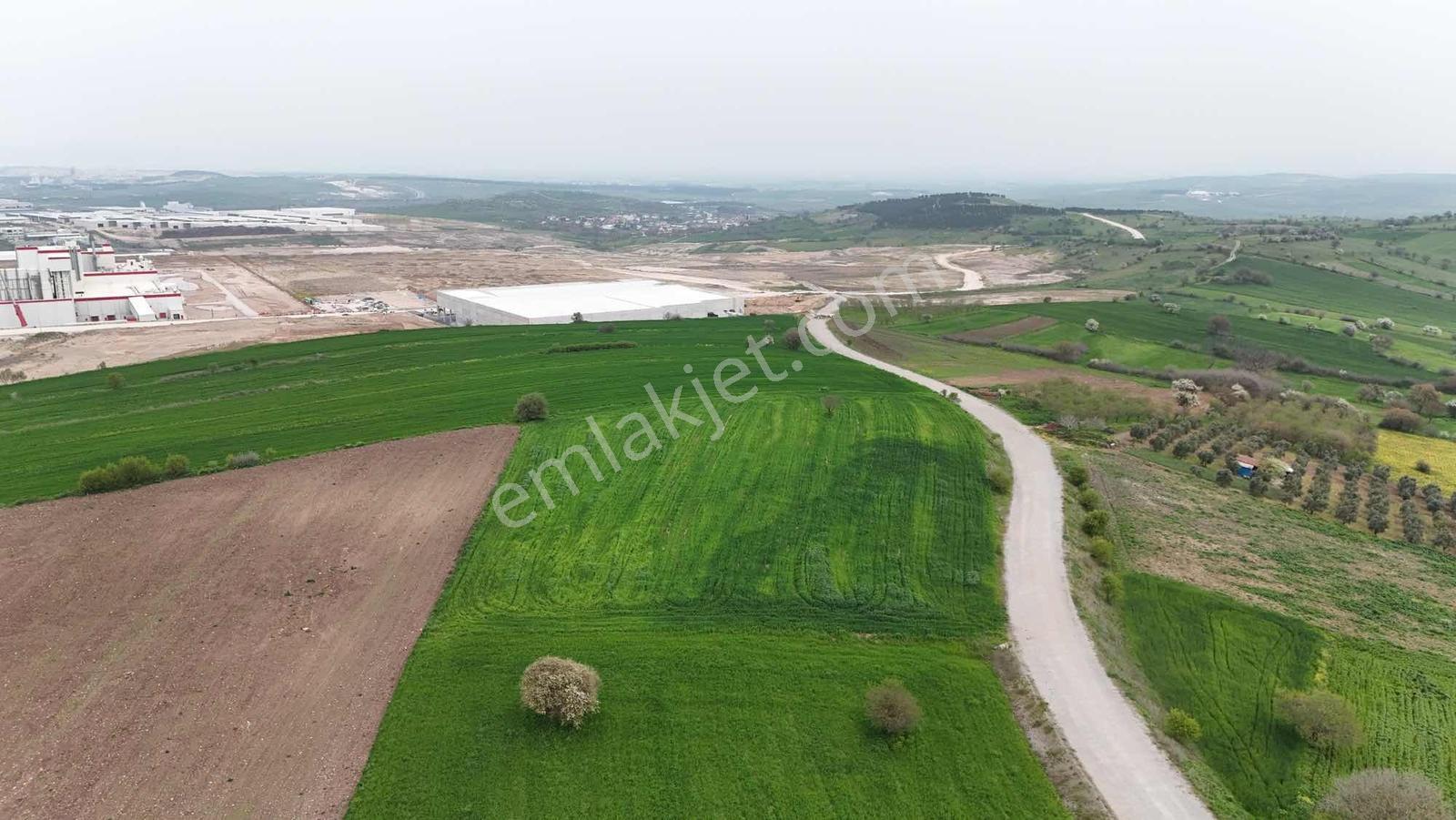 Altıeylül Kabaklı'da Asfalt Cepheli Fırsat Arazi! — fotoğraf 7