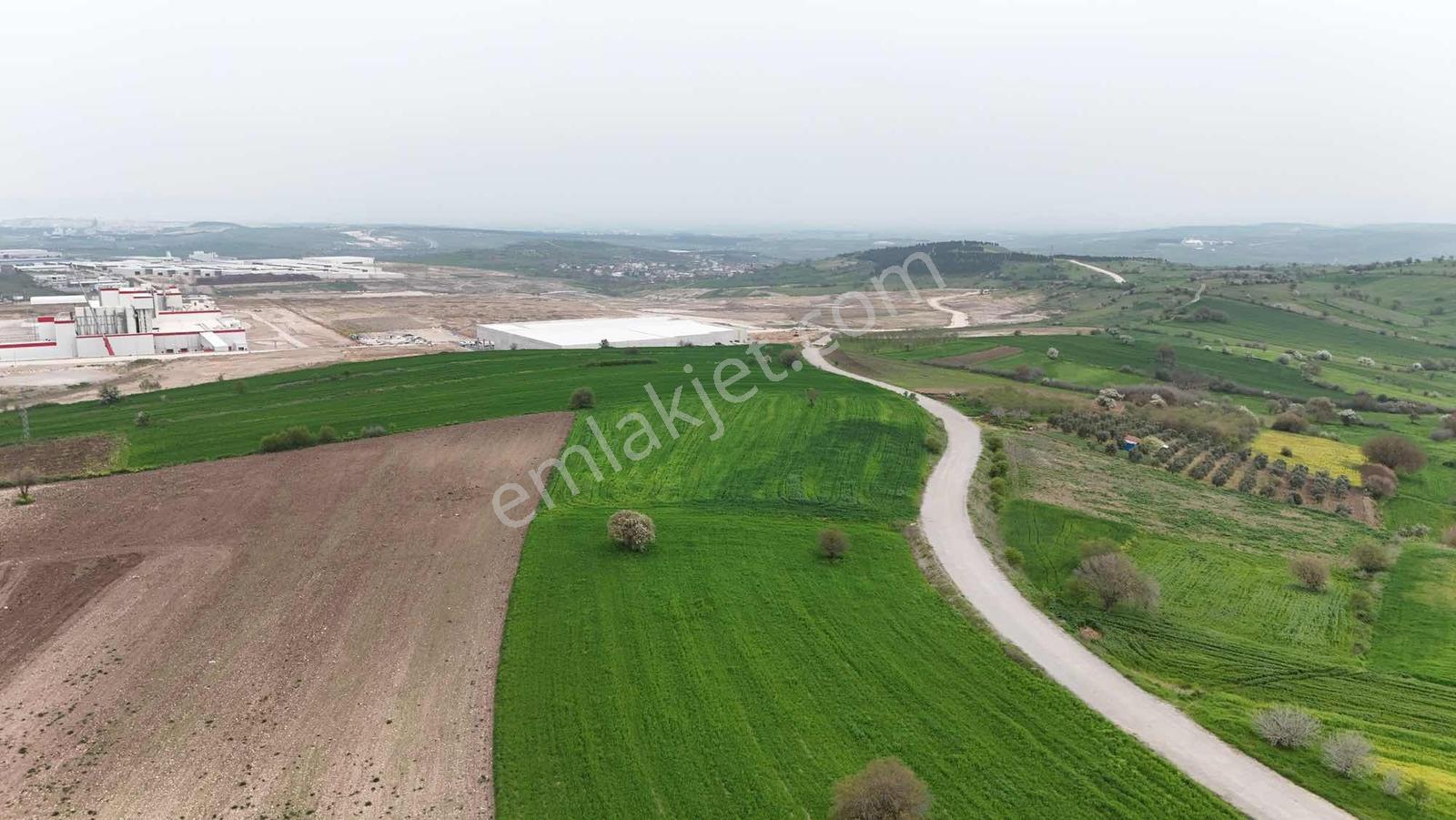 Altıeylül Kabaklı'da Asfalt Cepheli Fırsat Arazi! — fotoğraf 8
