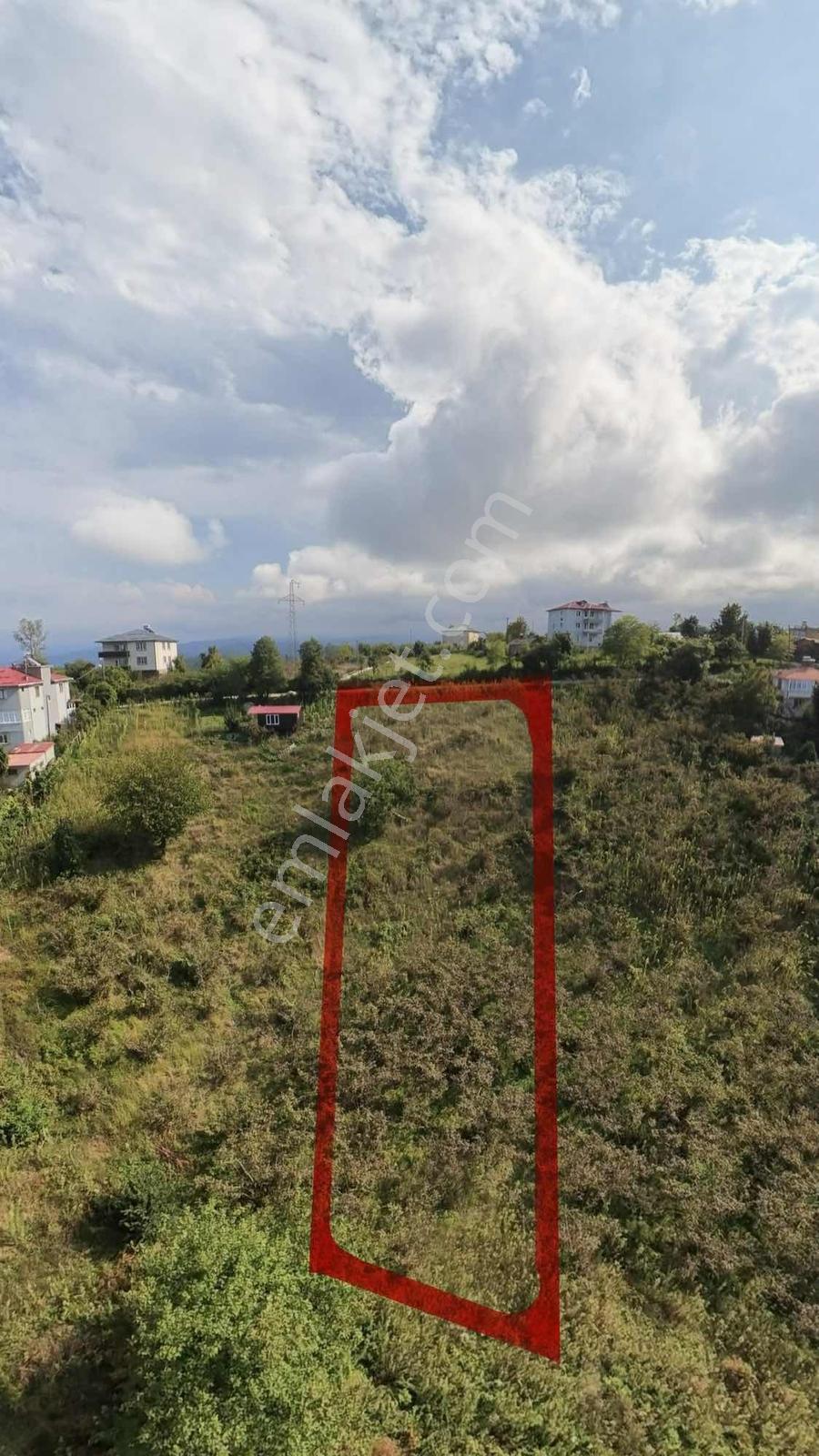 Bulancak Burunucu Köyü'nde Satılık Arsa
