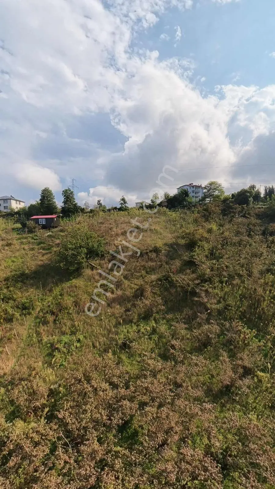 Bulancak Burunucu Köyü'nde Satılık Arsa — fotoğraf 2