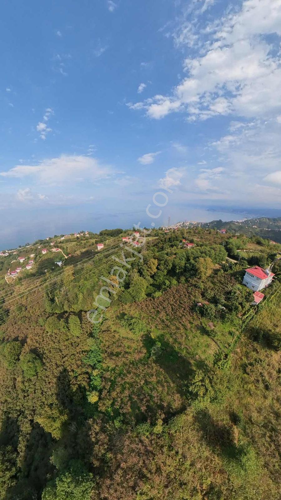 Bulancak Burunucu Köyü'nde Satılık Arsa — fotoğraf 6