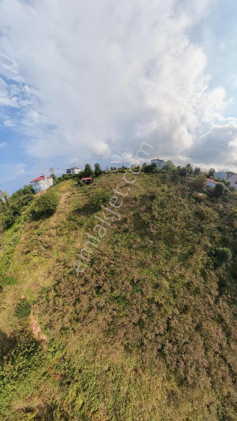 Bulancak Burunucu Köyü'nde Satılık Arsa — fotoğraf 8