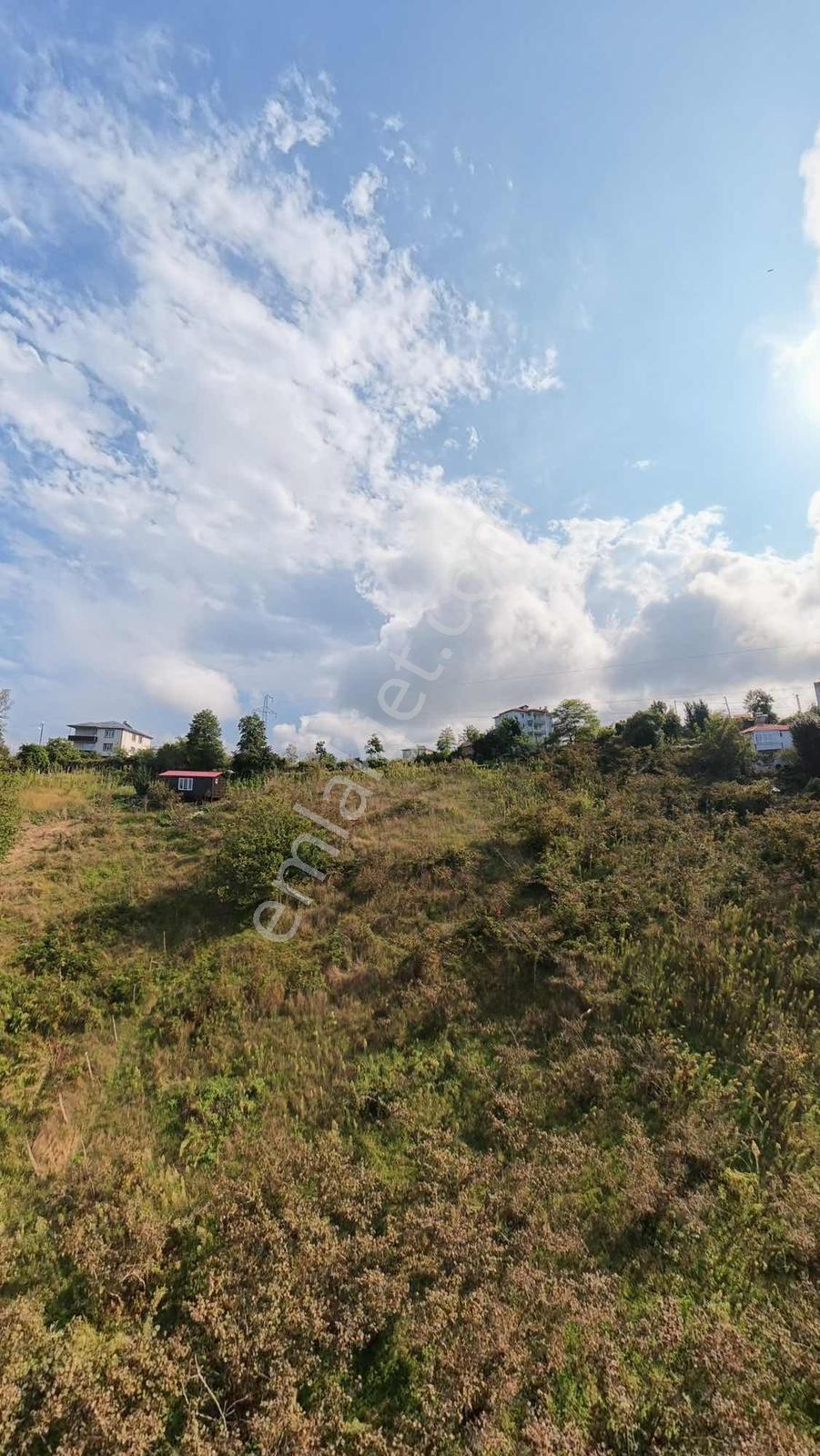 Bulancak Burunucu Köyü'nde Satılık Arsa — fotoğraf 9