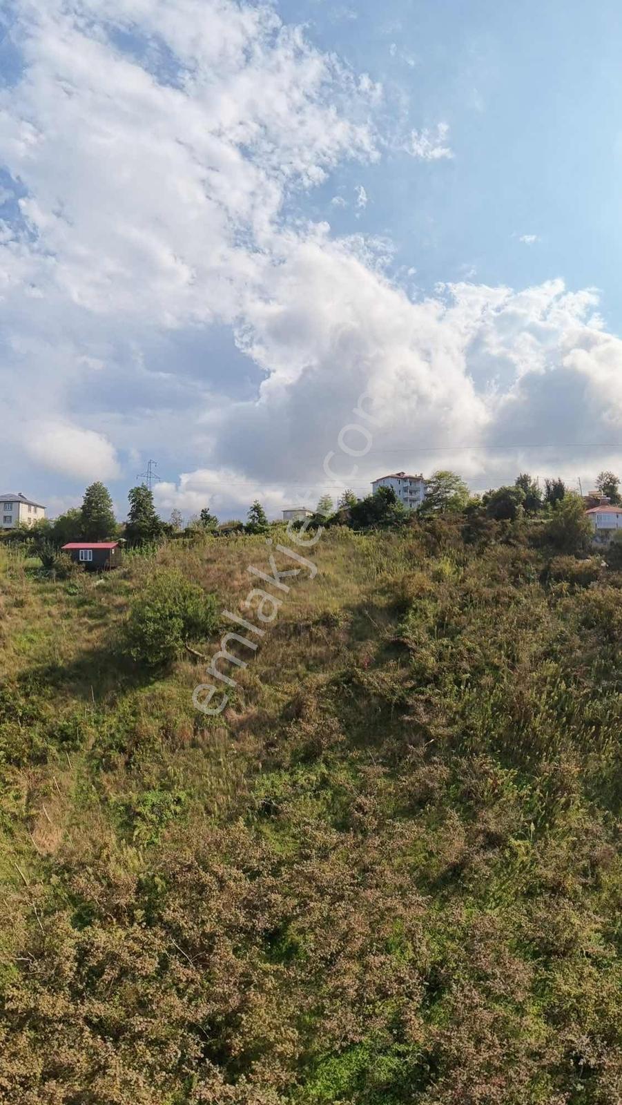 Bulancak Burunucu Köyü'nde Satılık Arsa — fotoğraf 10