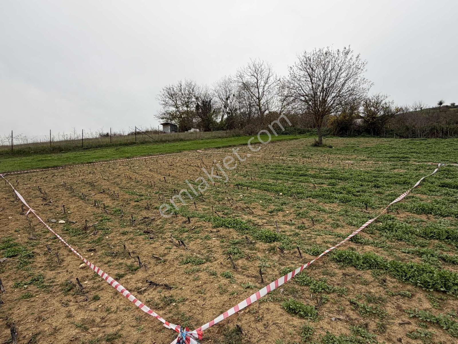 Emlak Team-tahtalı Köyünde İnşaat Ruhsatı Alınmış Arsa — fotoğraf 6