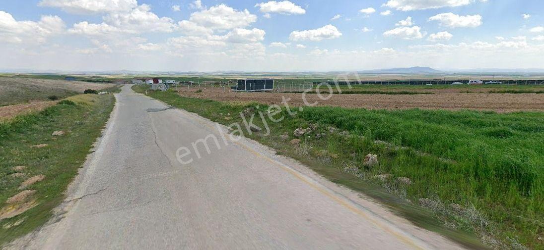 Sarıkavak Köy Yakını Anayol Cepheli Arazi
