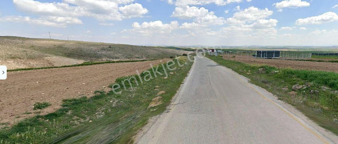 Sarıkavak Köy Yakını Anayol Cepheli Arazi — fotoğraf 2