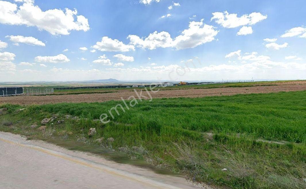 Sarıkavak Köy Yakını Anayol Cepheli Arazi — fotoğraf 3