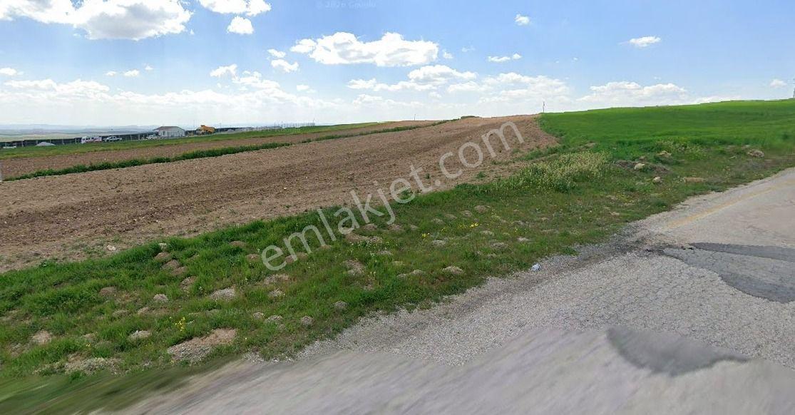 Sarıkavak Köy Yakını Anayol Cepheli Arazi — fotoğraf 11