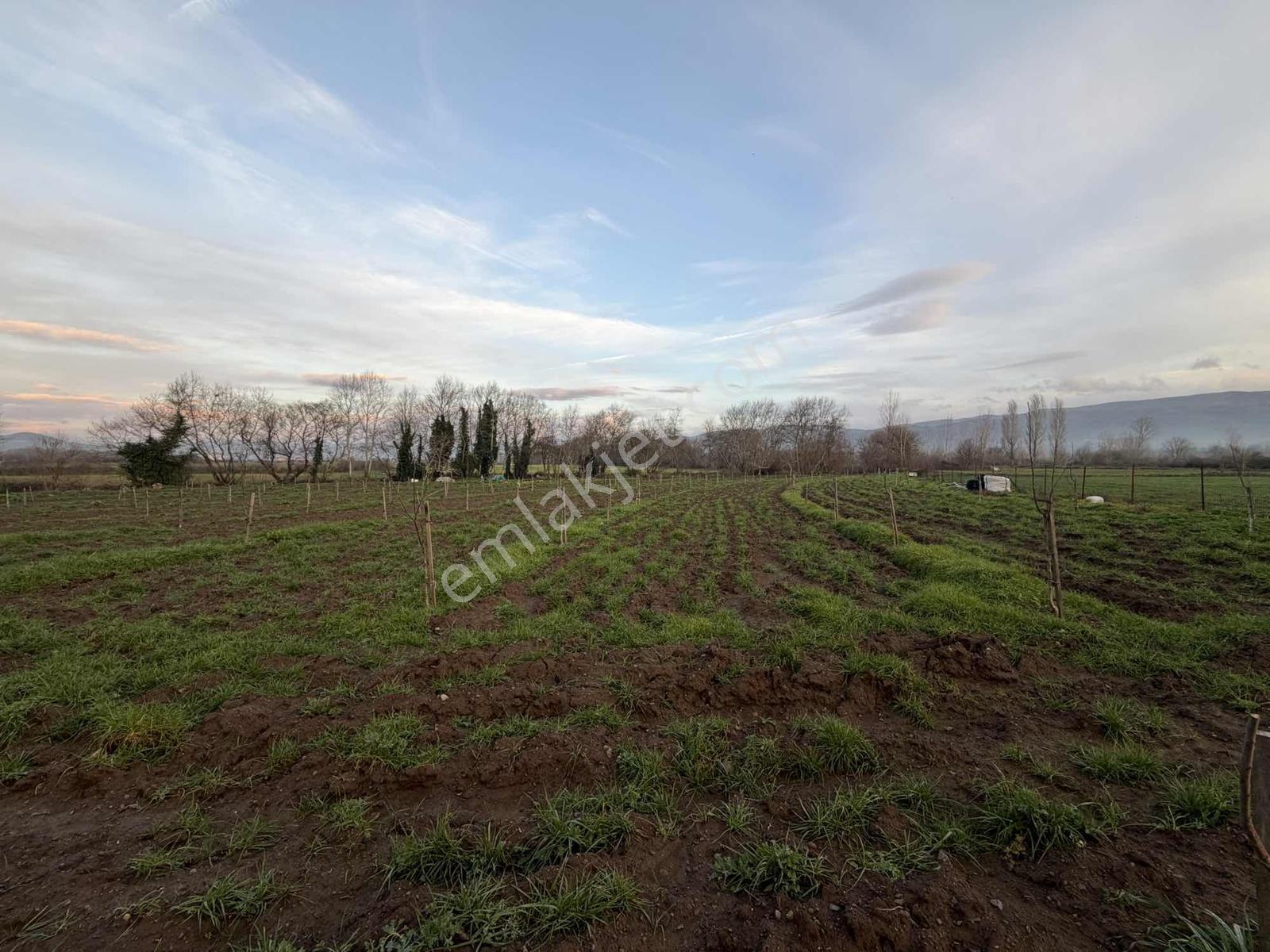 Emlak Team-çanakkale Çan Terzialan Köyünde 6927 M2 Satılık Tarla — fotoğraf 2