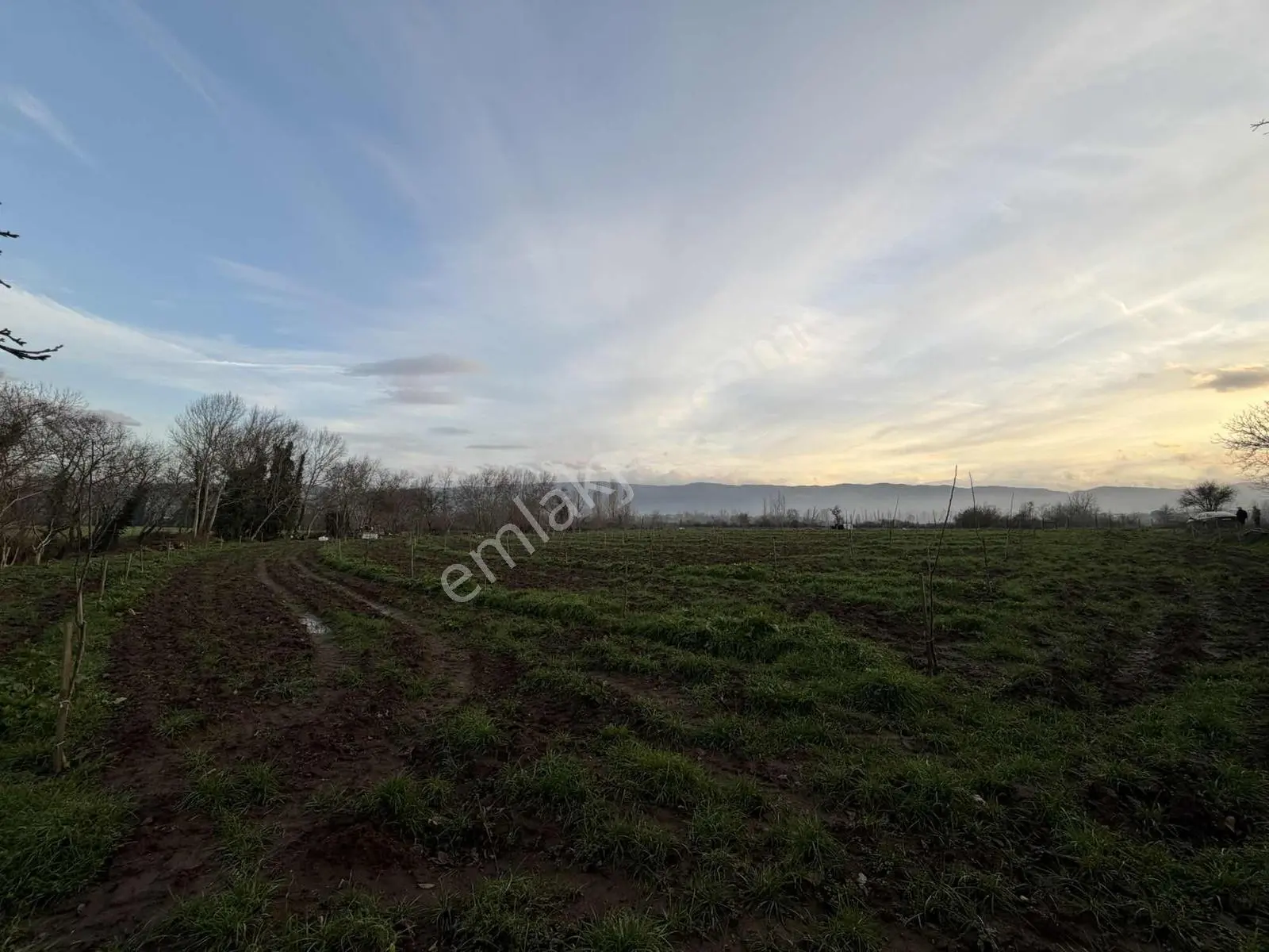Emlak Team-çanakkale Çan Terzialan Köyünde 6927 M2 Satılık Tarla — fotoğraf 6