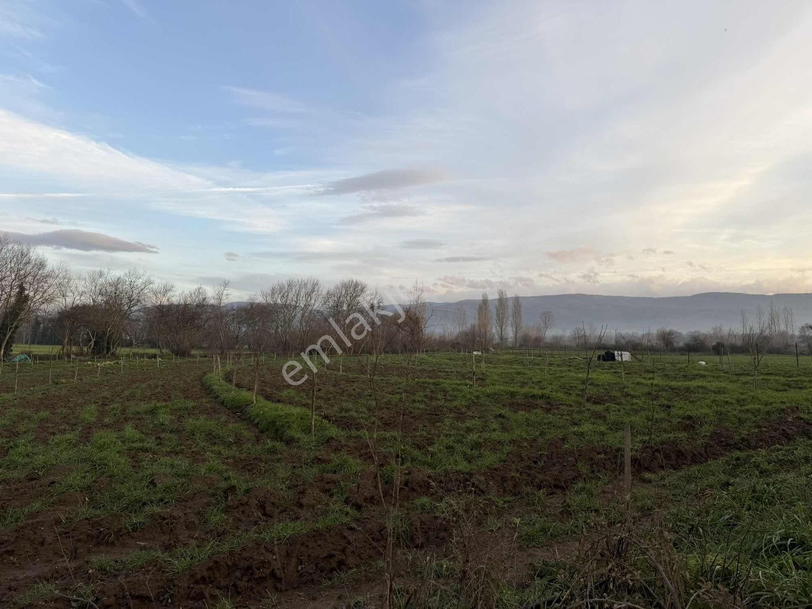 Emlak Team-çanakkale Çan Terzialan Köyünde 6927 M2 Satılık Tarla — fotoğraf 10