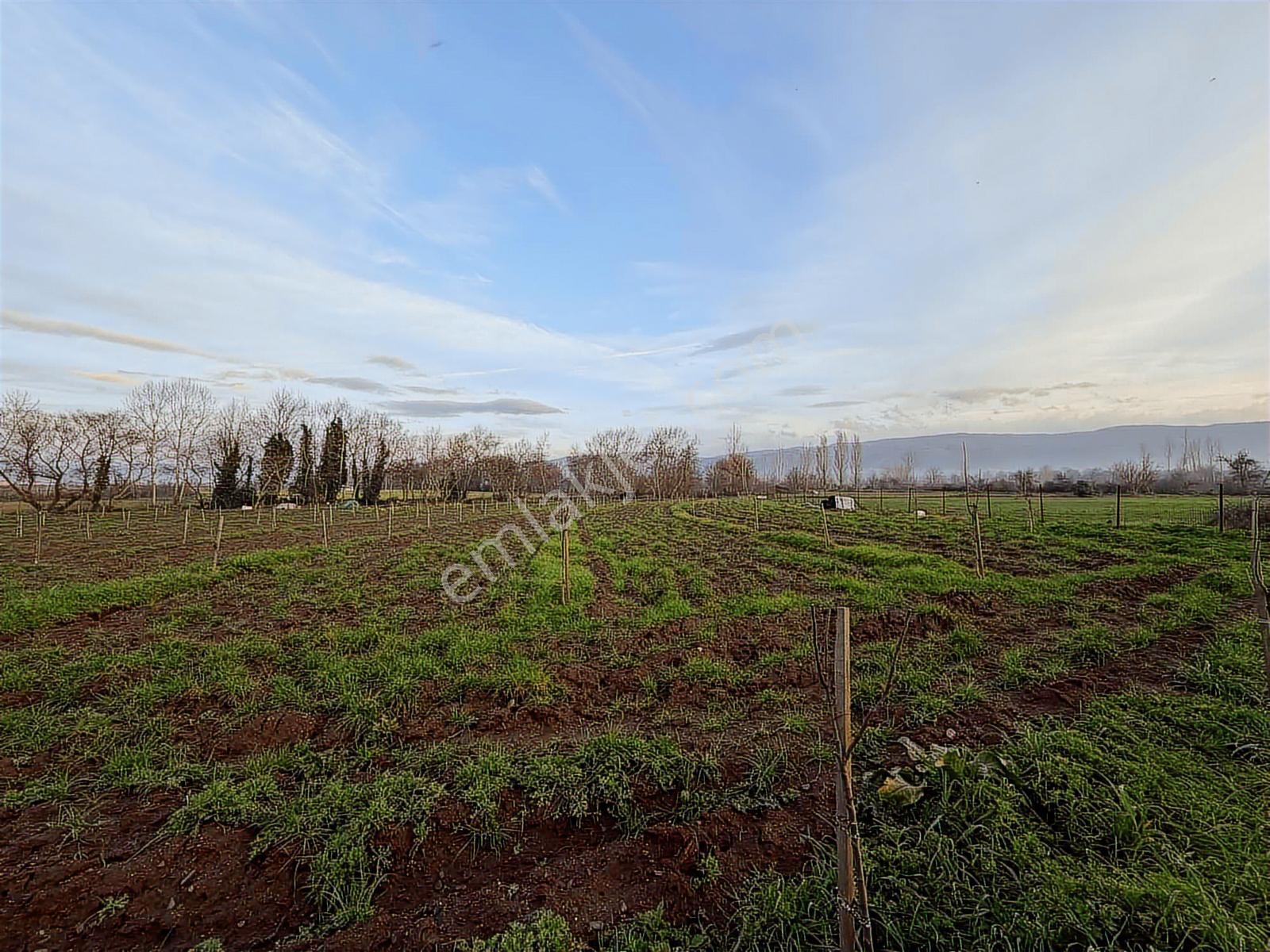 Emlak Team-çanakkale Çan Terzialan Köyünde 6927 M2 Satılık Tarla — fotoğraf 11