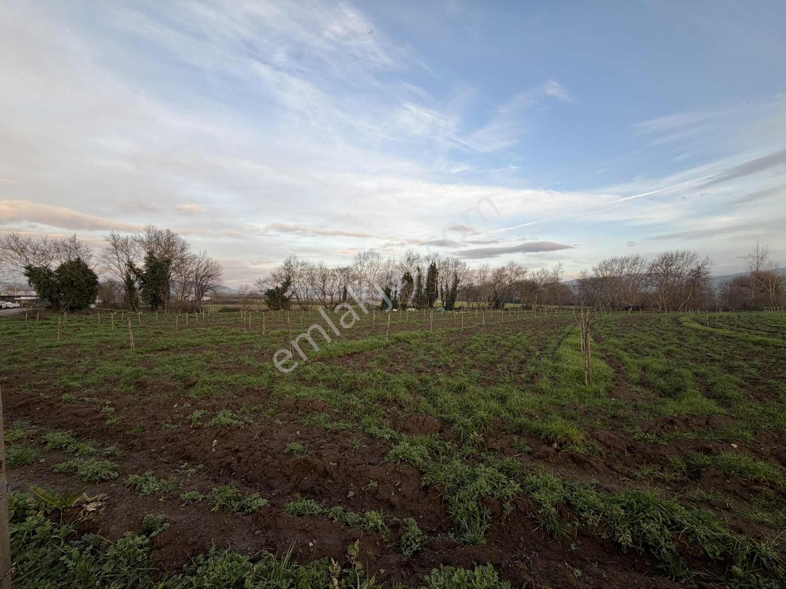 Emlak Team-çanakkale Çan Terzialan Köyünde 6927 M2 Satılık Tarla — fotoğraf 12