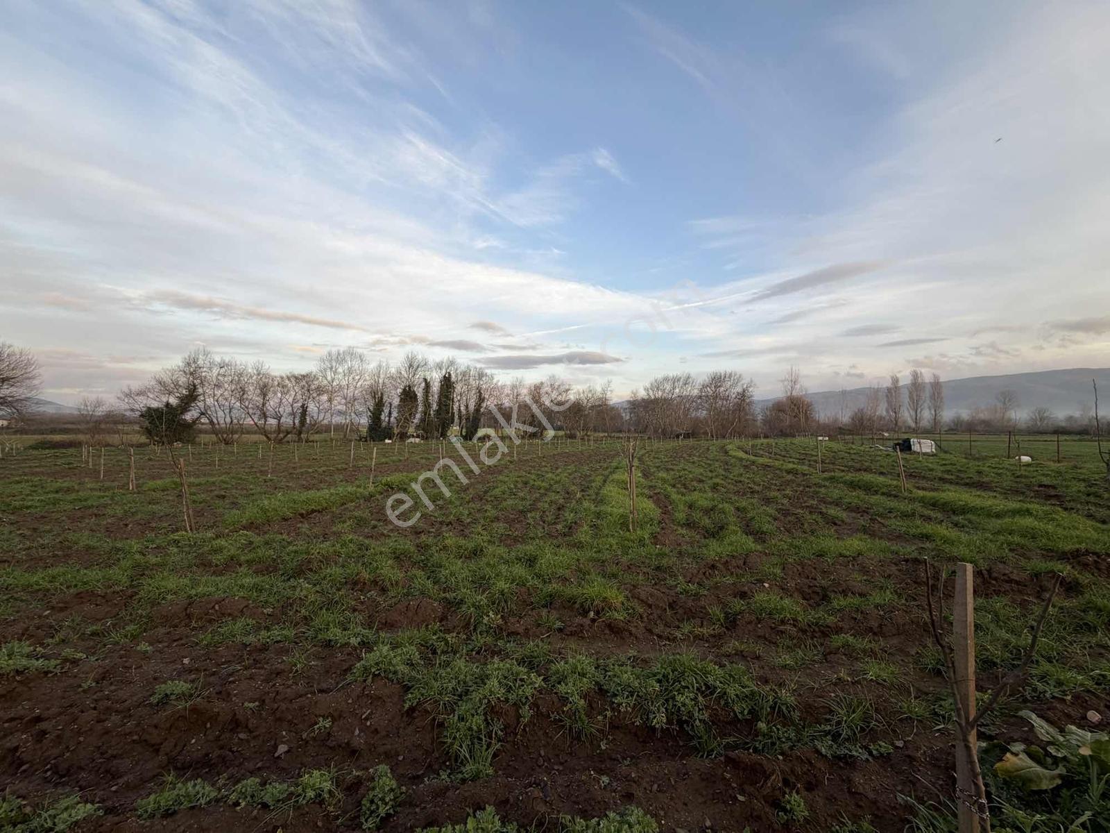 Emlak Team-çanakkale Çan Terzialan Köyünde 6927 M2 Satılık Tarla — fotoğraf 13