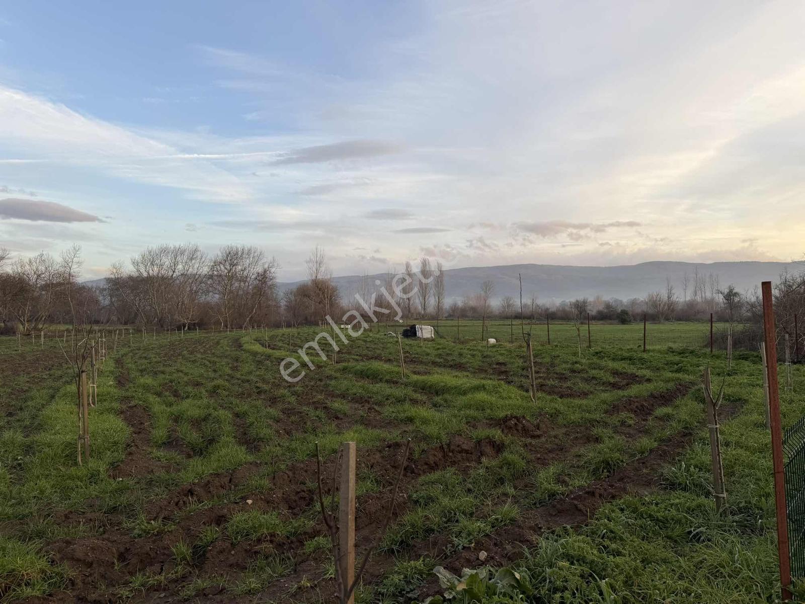 Emlak Team-çanakkale Çan Terzialan Köyünde 6927 M2 Satılık Tarla — fotoğraf 14