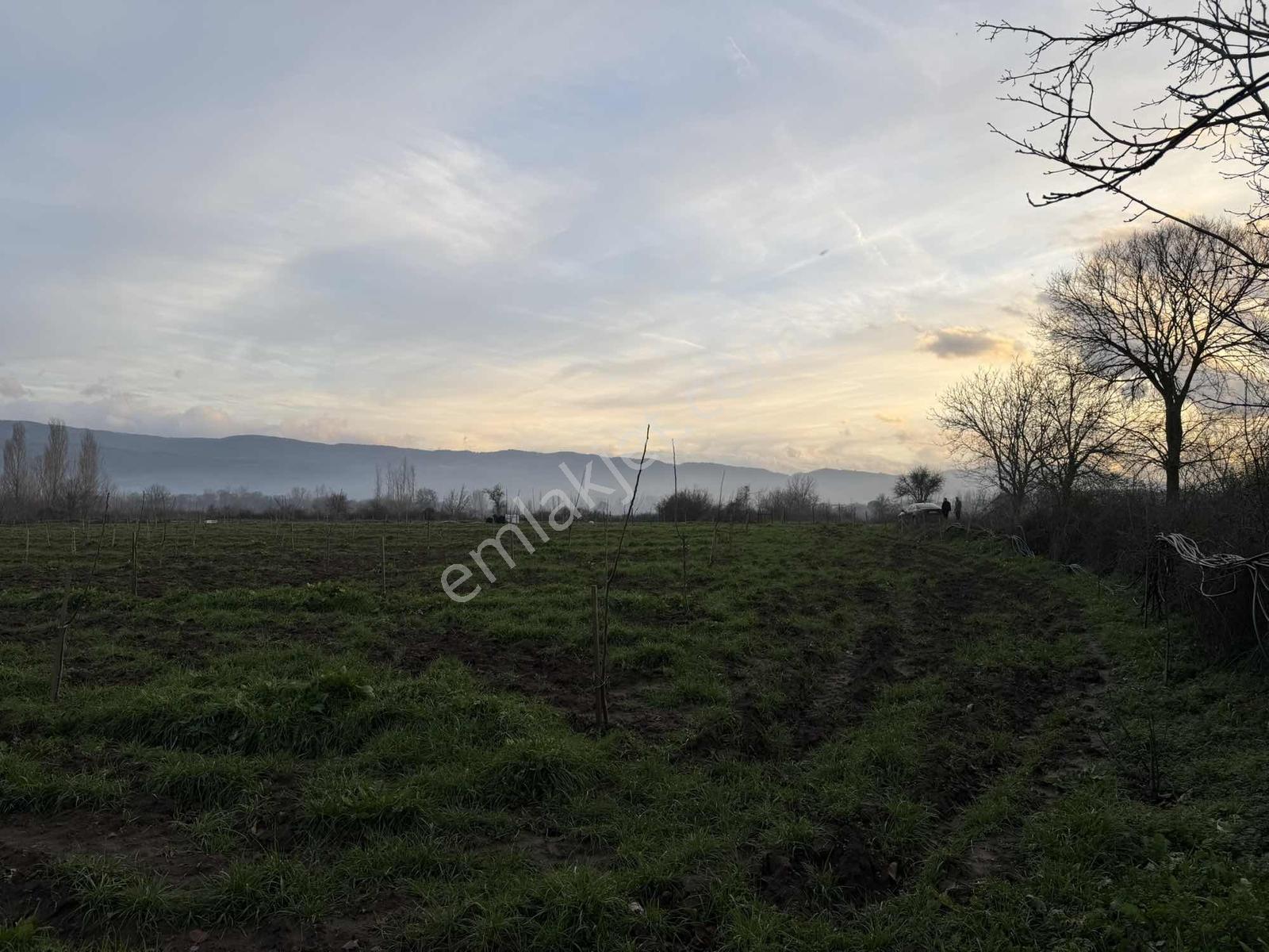 Emlak Team-çanakkale Çan Terzialan Köyünde 6927 M2 Satılık Tarla — fotoğraf 15