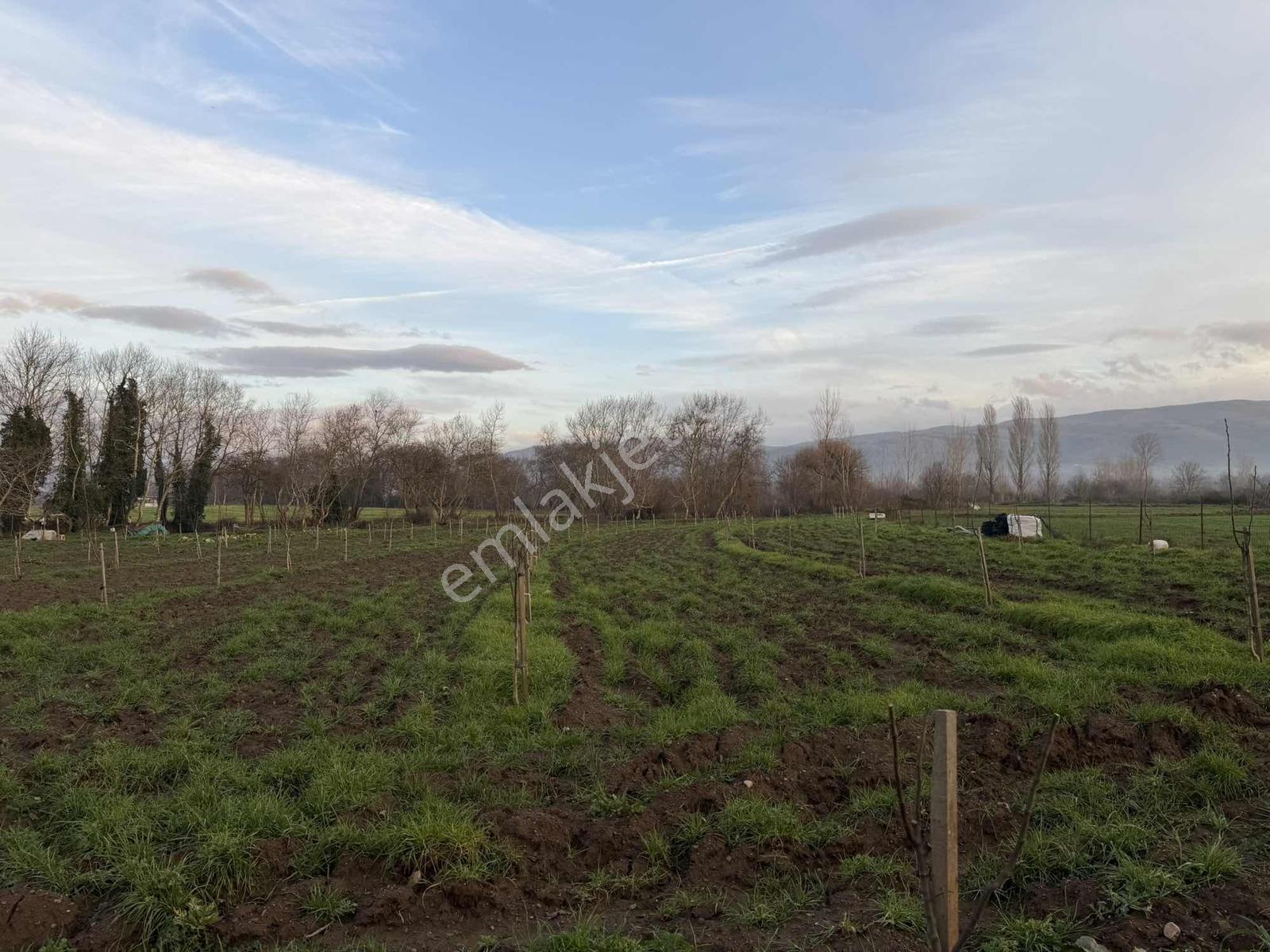 Emlak Team-çanakkale Çan Terzialan Köyünde 6927 M2 Satılık Tarla — fotoğraf 16