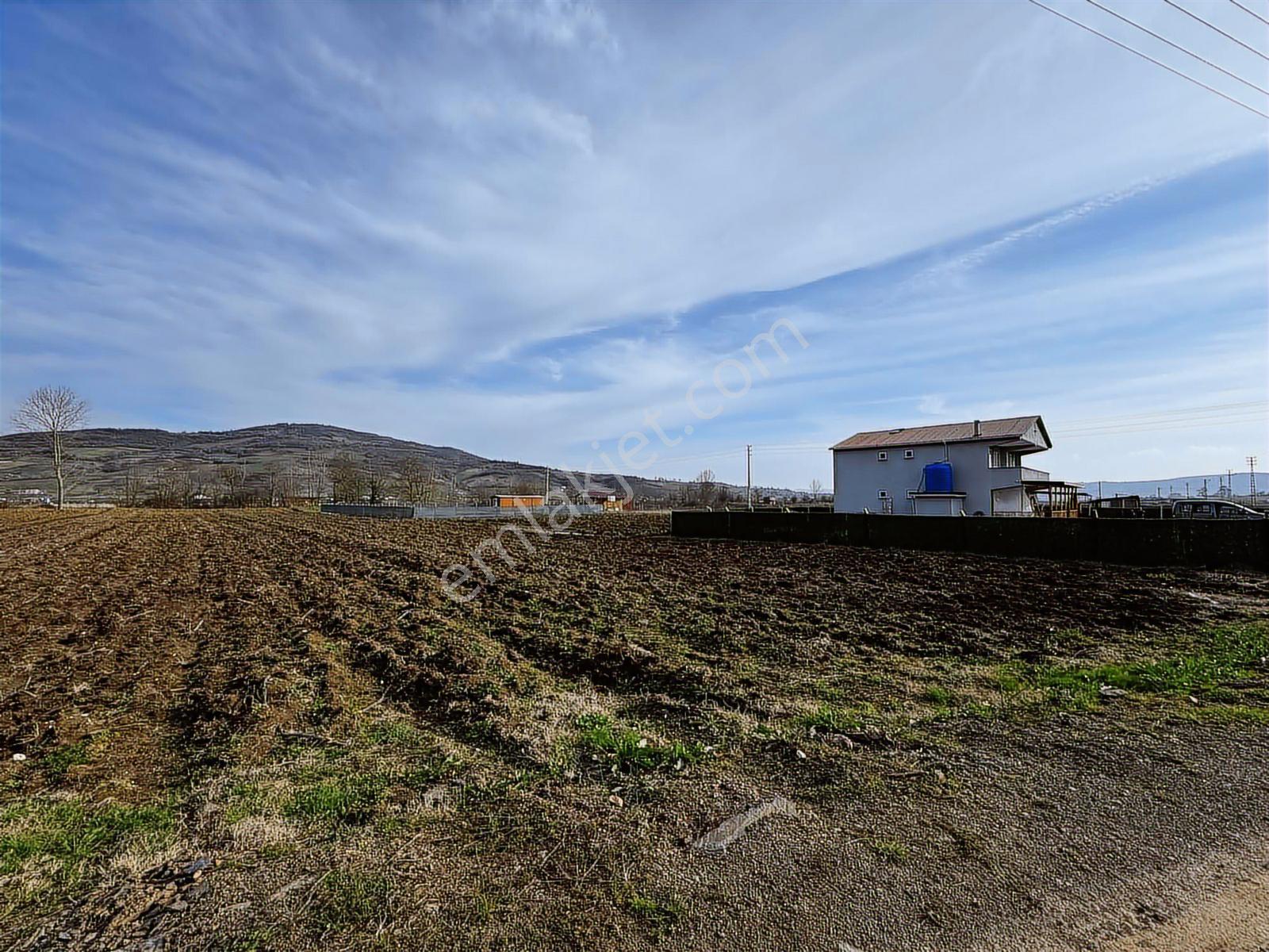 Emlak Team-körfez Cumaköyde 3.685 M² Satılık Tarla