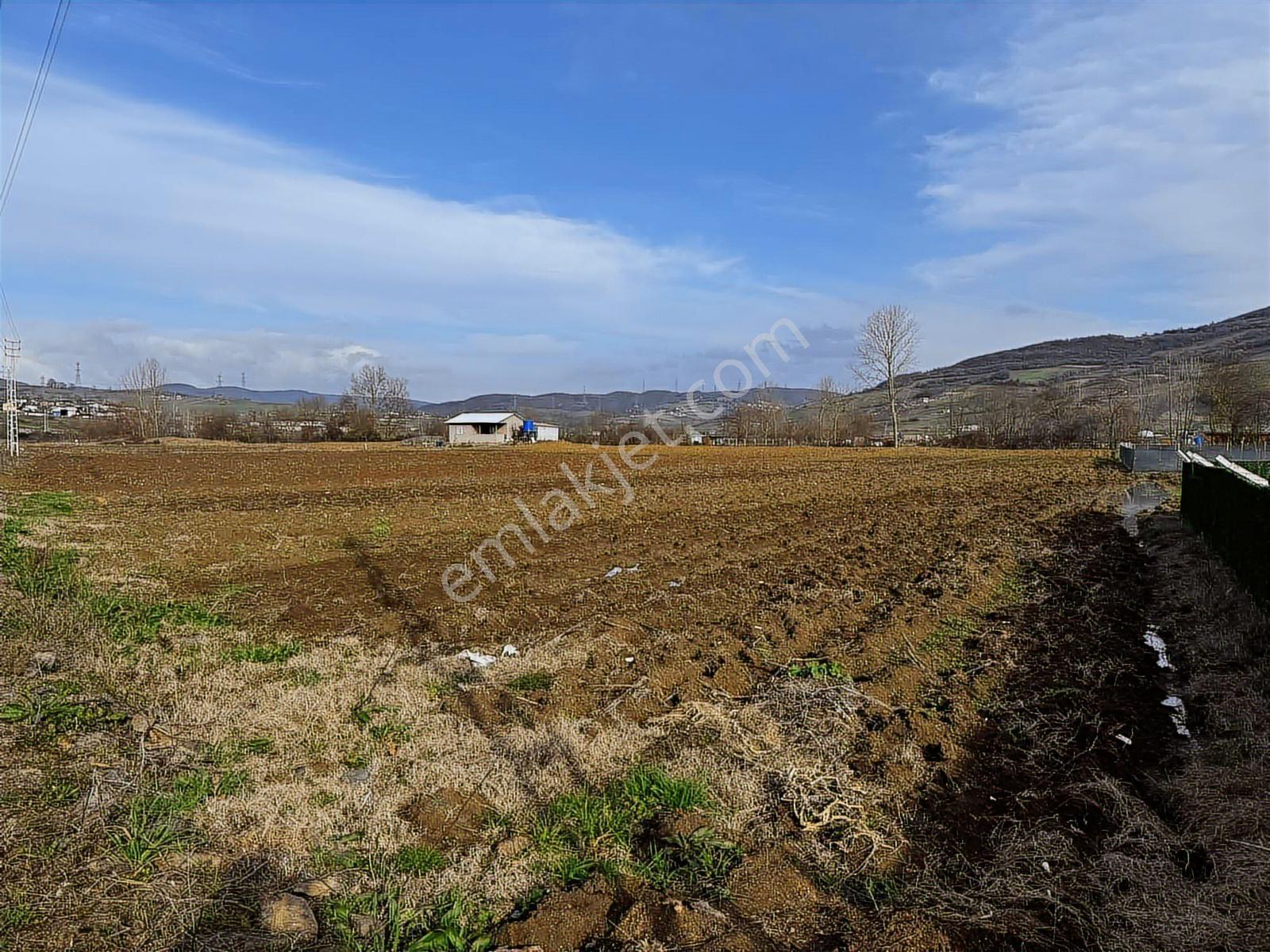 Emlak Team-körfez Cumaköyde 3.685 M² Satılık Tarla — fotoğraf 2