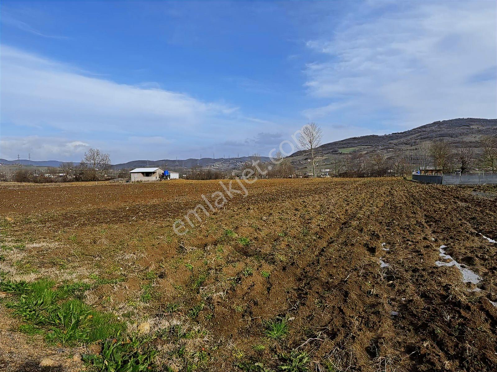 Emlak Team-körfez Cumaköyde 3.685 M² Satılık Tarla — fotoğraf 3