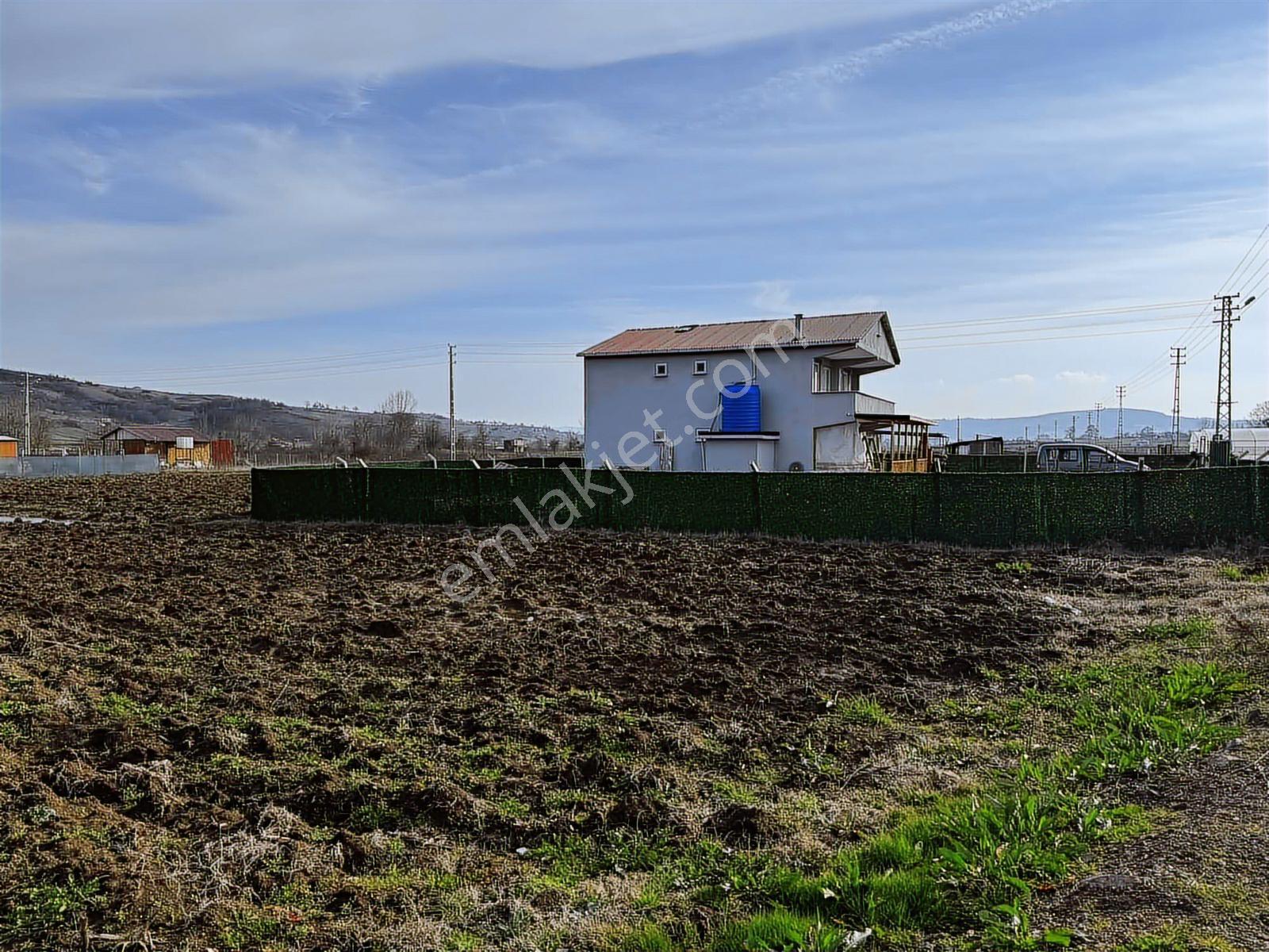 Emlak Team-körfez Cumaköyde 3.685 M² Satılık Tarla — fotoğraf 4