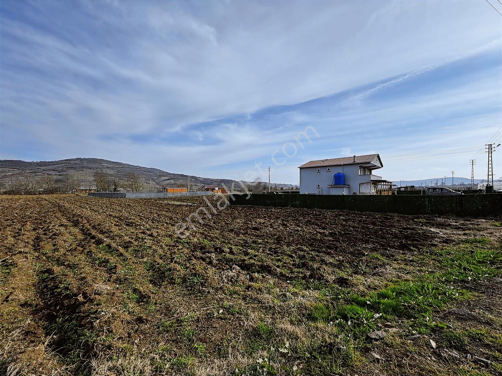 Emlak Team-körfez Cumaköyde 3.685 M² Satılık Tarla — fotoğraf 5