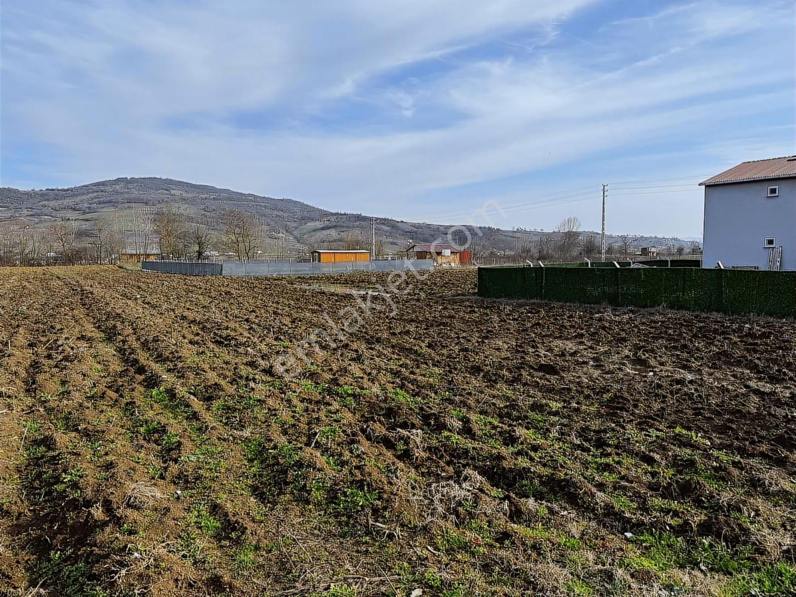 Emlak Team-körfez Cumaköyde 3.685 M² Satılık Tarla — fotoğraf 6
