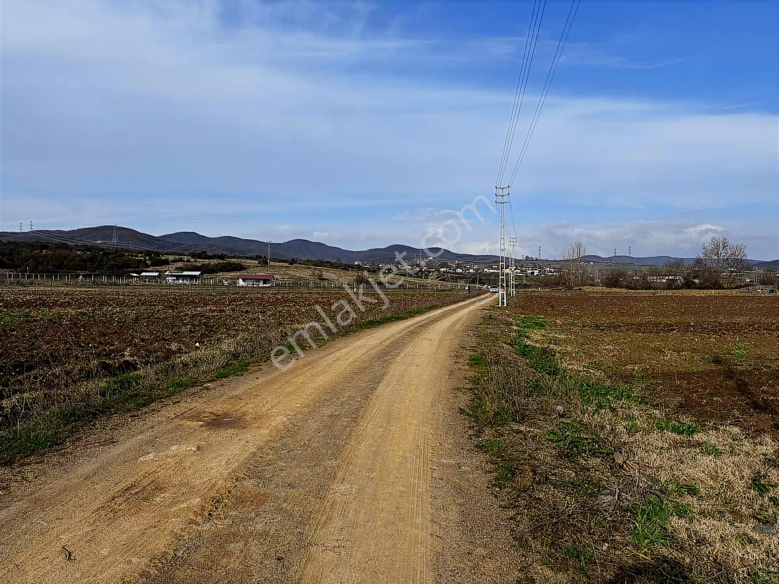 Emlak Team-körfez Cumaköyde 3.685 M² Satılık Tarla — fotoğraf 7