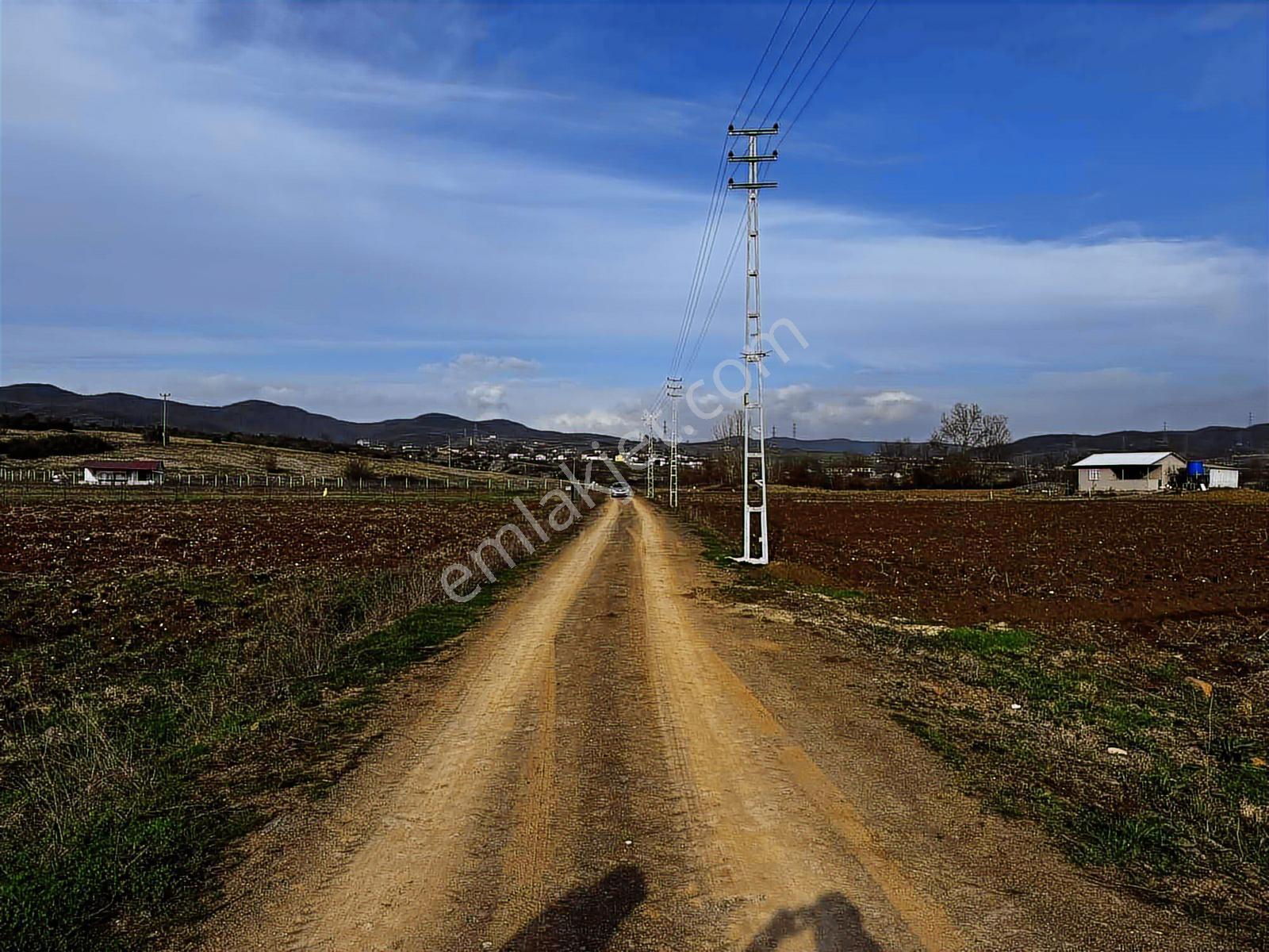 Emlak Team-körfez Cumaköyde 3.685 M² Satılık Tarla — fotoğraf 8