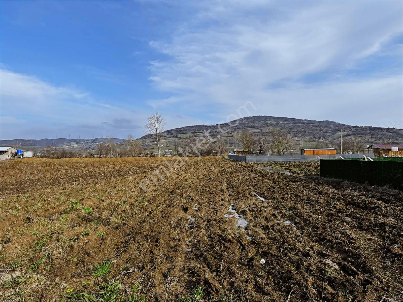 Emlak Team-körfez Cumaköyde 3.685 M² Satılık Tarla — fotoğraf 10