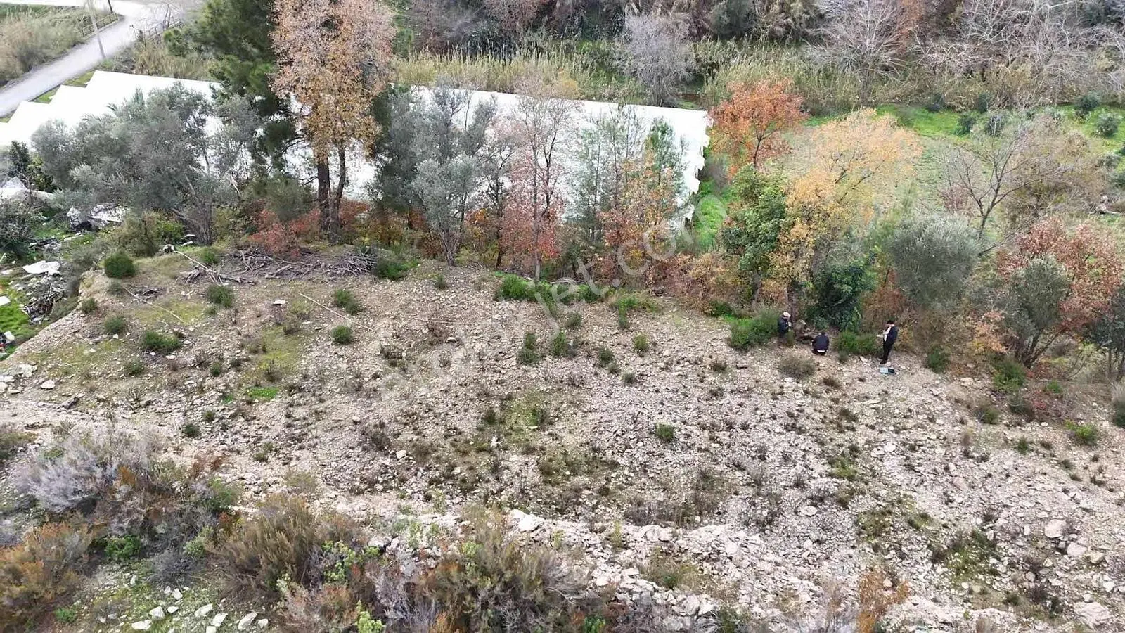 Alanya Emişbeleni 2.570m2 Fırsat Arazi — fotoğraf 3