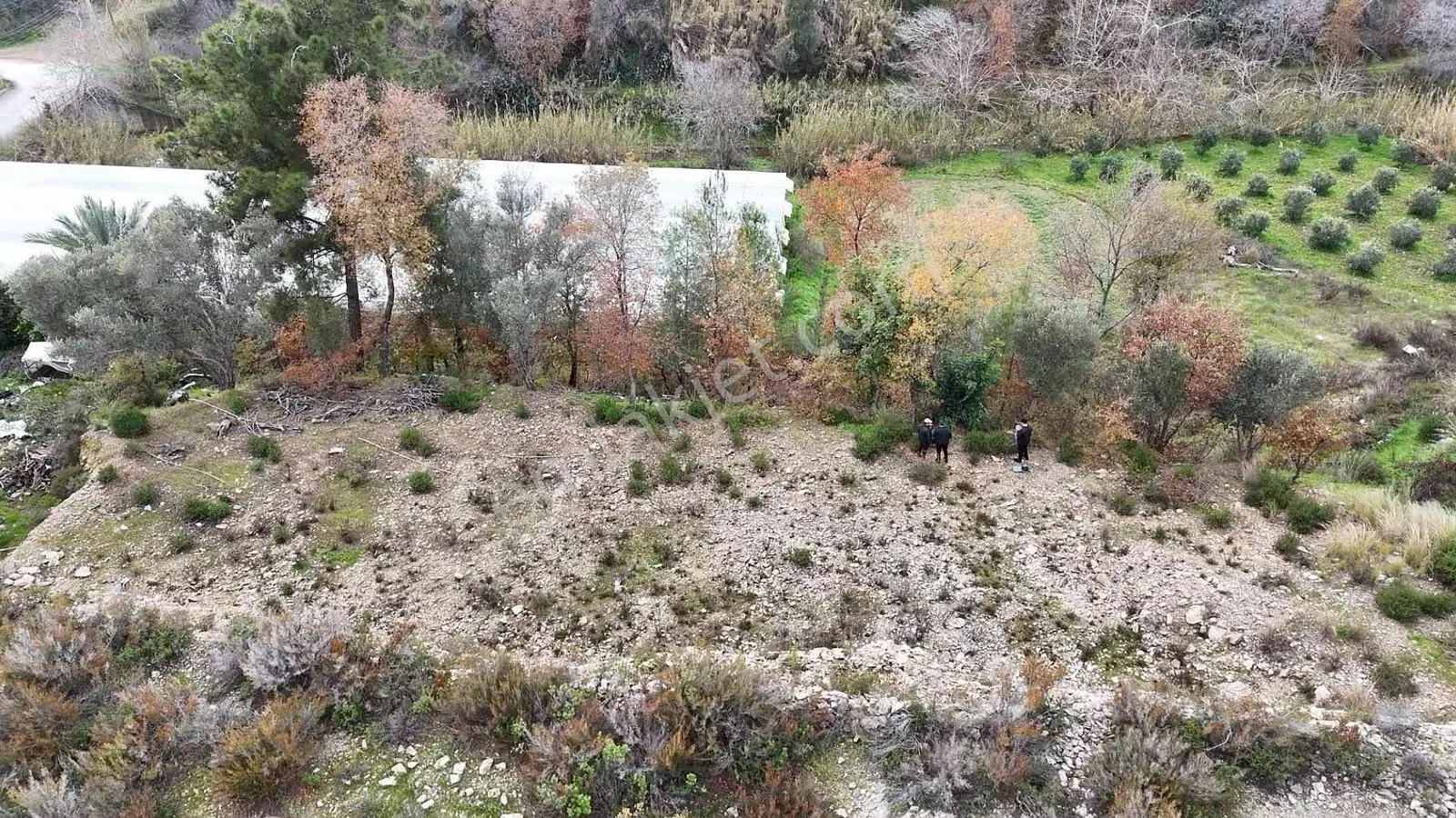 Alanya Emişbeleni 2.570m2 Fırsat Arazi — fotoğraf 4