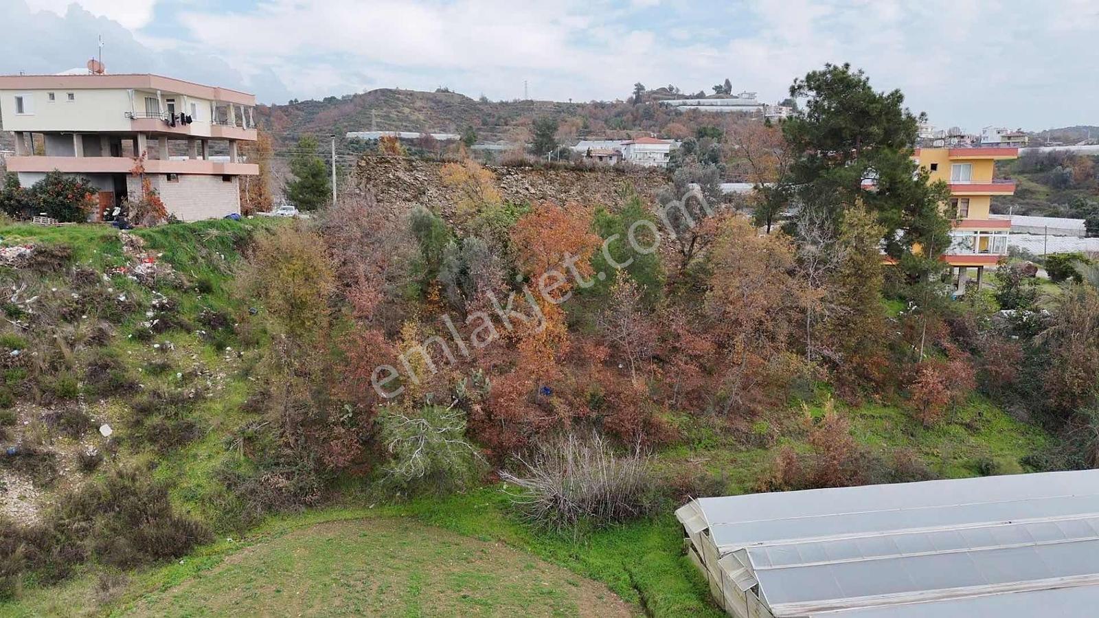 Alanya Emişbeleni 2.570m2 Fırsat Arazi — fotoğraf 11