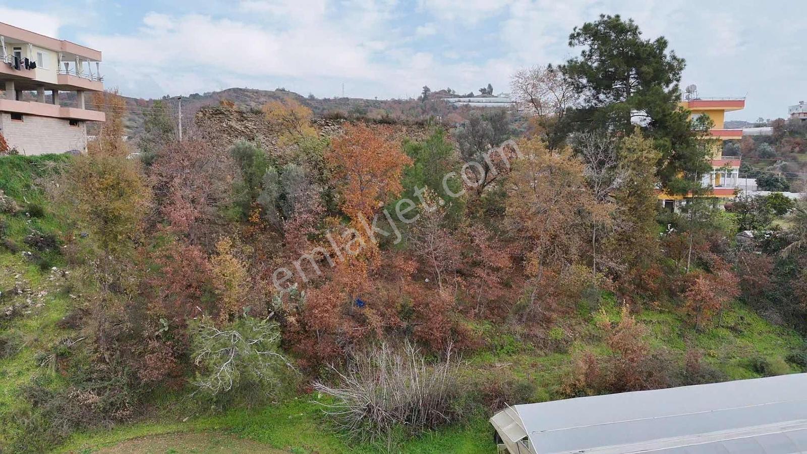 Alanya Emişbeleni 2.570m2 Fırsat Arazi — fotoğraf 12
