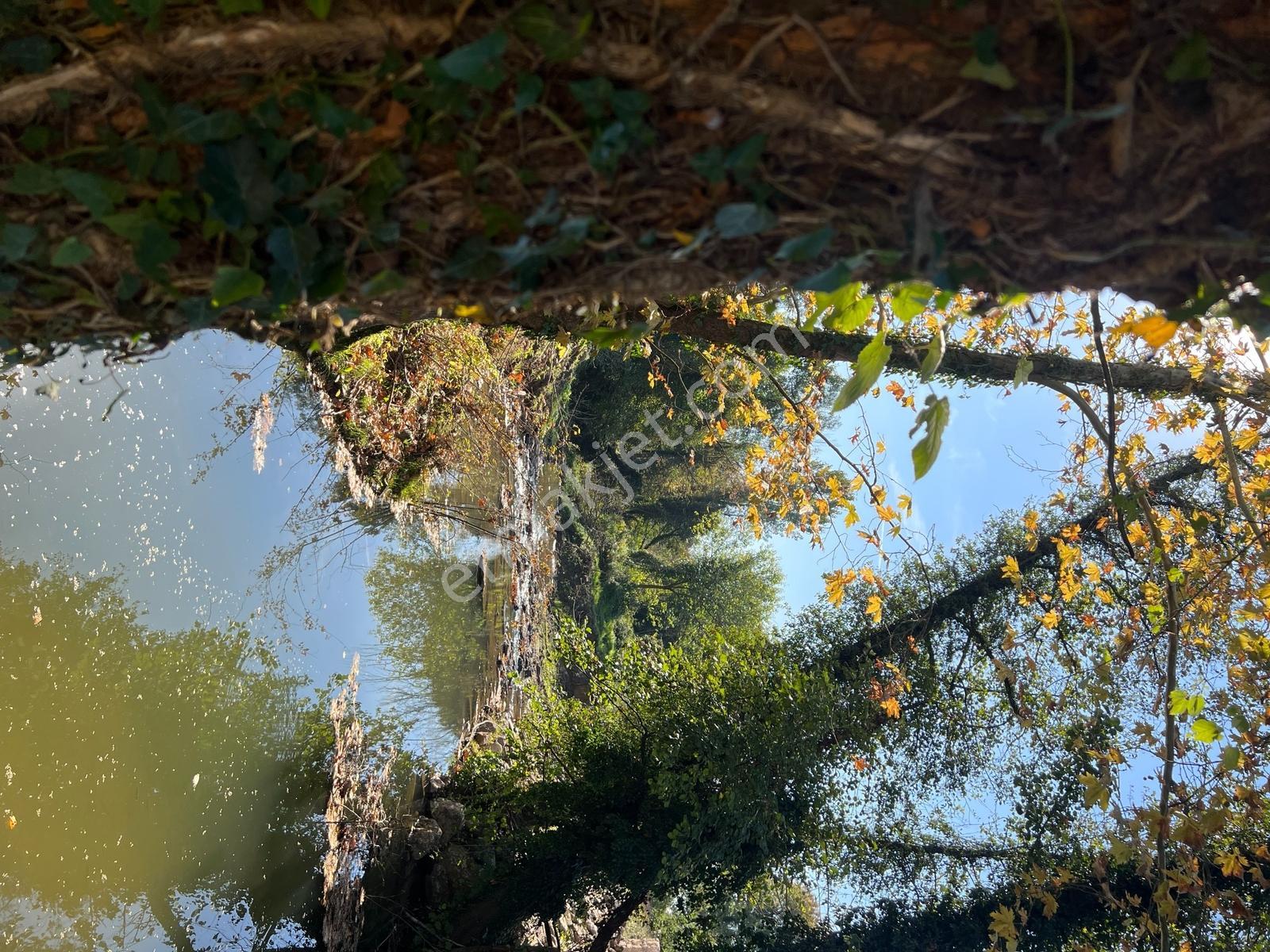 Doğa Harikası Ormana Cephe, Akarsu Yakınında Arsa Tapulu Parsel — fotoğraf 7