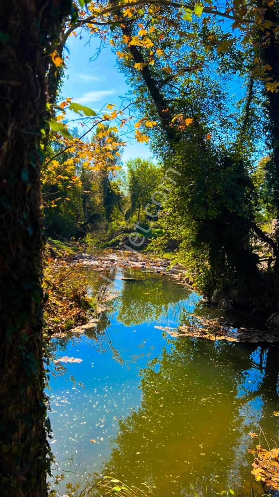 Doğa Harikası Ormana Cephe, Akarsu Yakınında Arsa Tapulu Parsel — fotoğraf 8