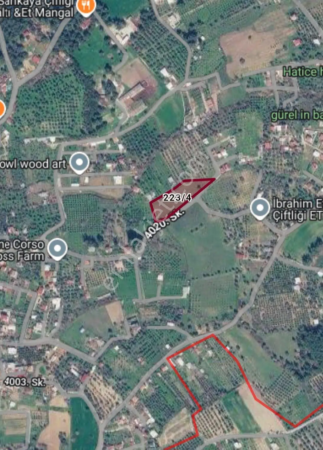 Karacaağaç Köyü Mevkiinde Satılık 5,505 M² Zeytinli Tarla