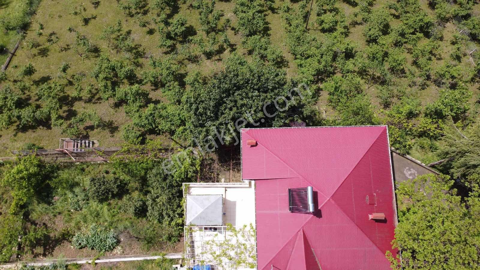 Yardım Emlaktan Akçaabat Sarıtaş Ta Satılık Tarla — fotoğraf 3