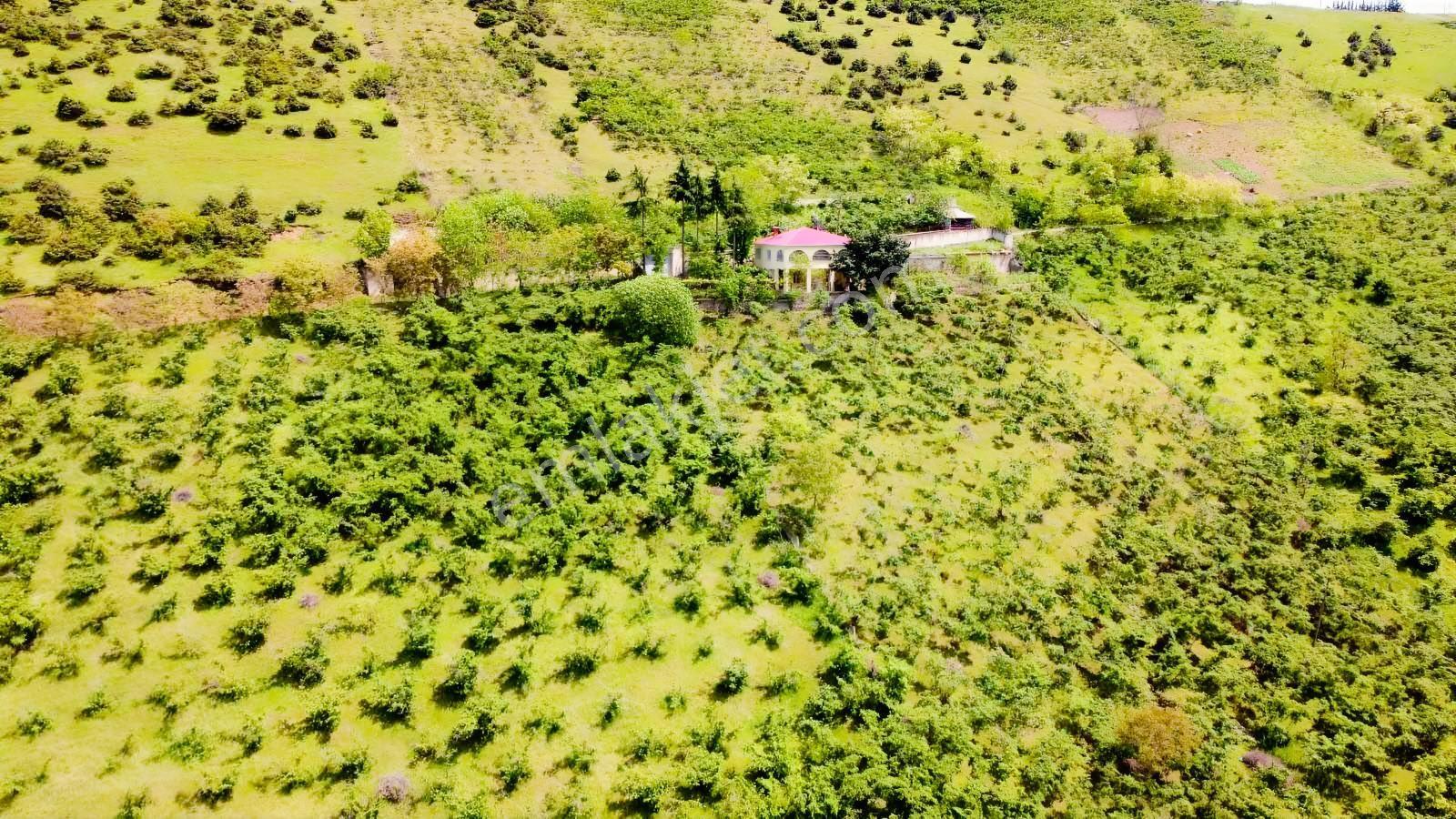 Yardım Emlaktan Akçaabat Sarıtaş Ta Satılık Tarla — fotoğraf 17