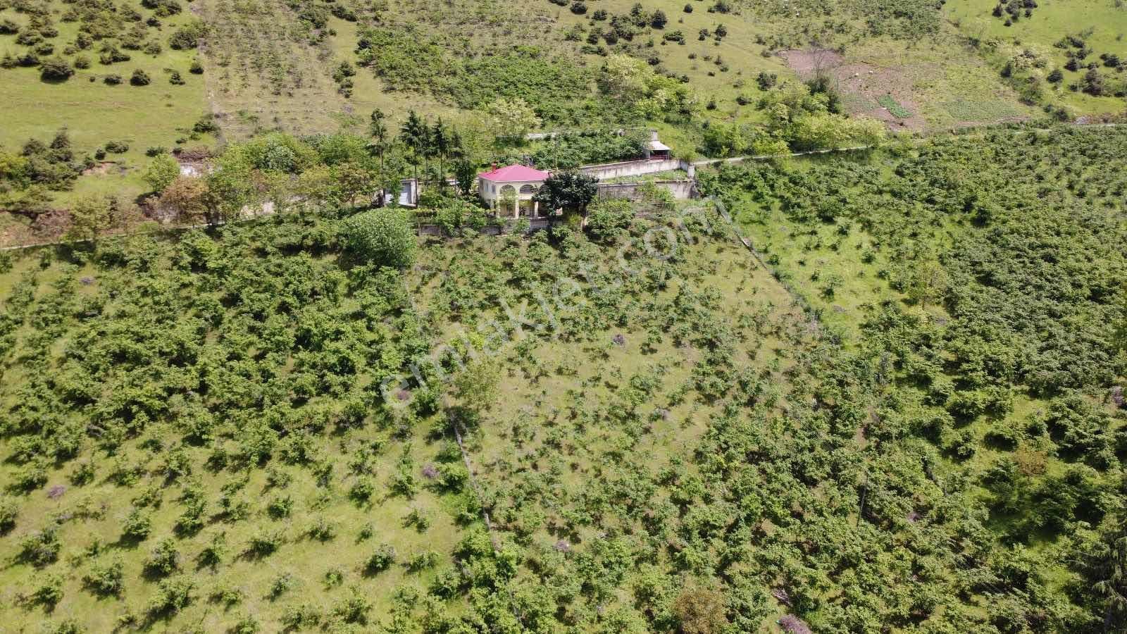 Yardım Emlaktan Akçaabat Sarıtaş Ta Satılık Tarla — fotoğraf 20