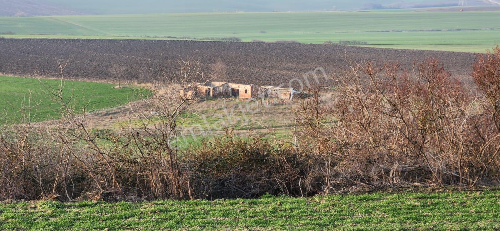 Tekirdağ Çorlu Hatipte Kaçırılmayacak Fırsat Tarla — fotoğraf 6