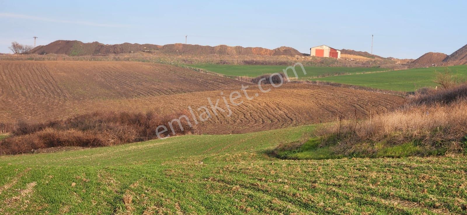Tekirdağ Çorlu Hatipte Kaçırılmayacak Fırsat Tarla — fotoğraf 7