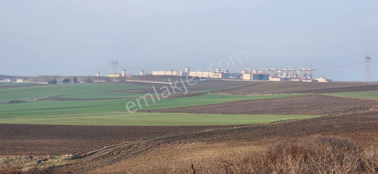 Tekirdağ Çorlu Hatipte Kaçırılmayacak Fırsat Tarla — fotoğraf 9