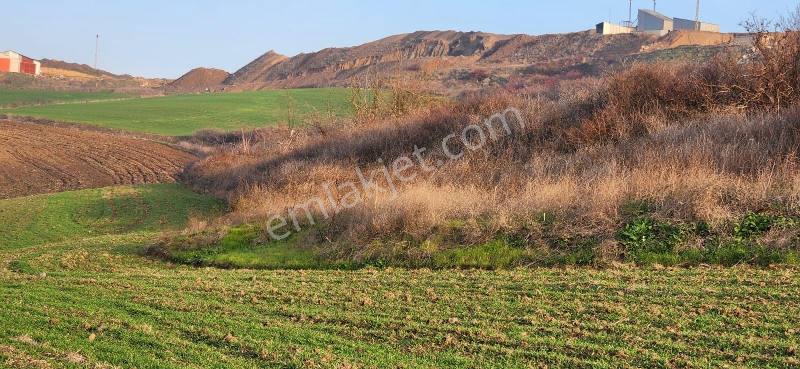 Tekirdağ Çorlu Hatipte Kaçırılmayacak Fırsat Tarla — fotoğraf 10