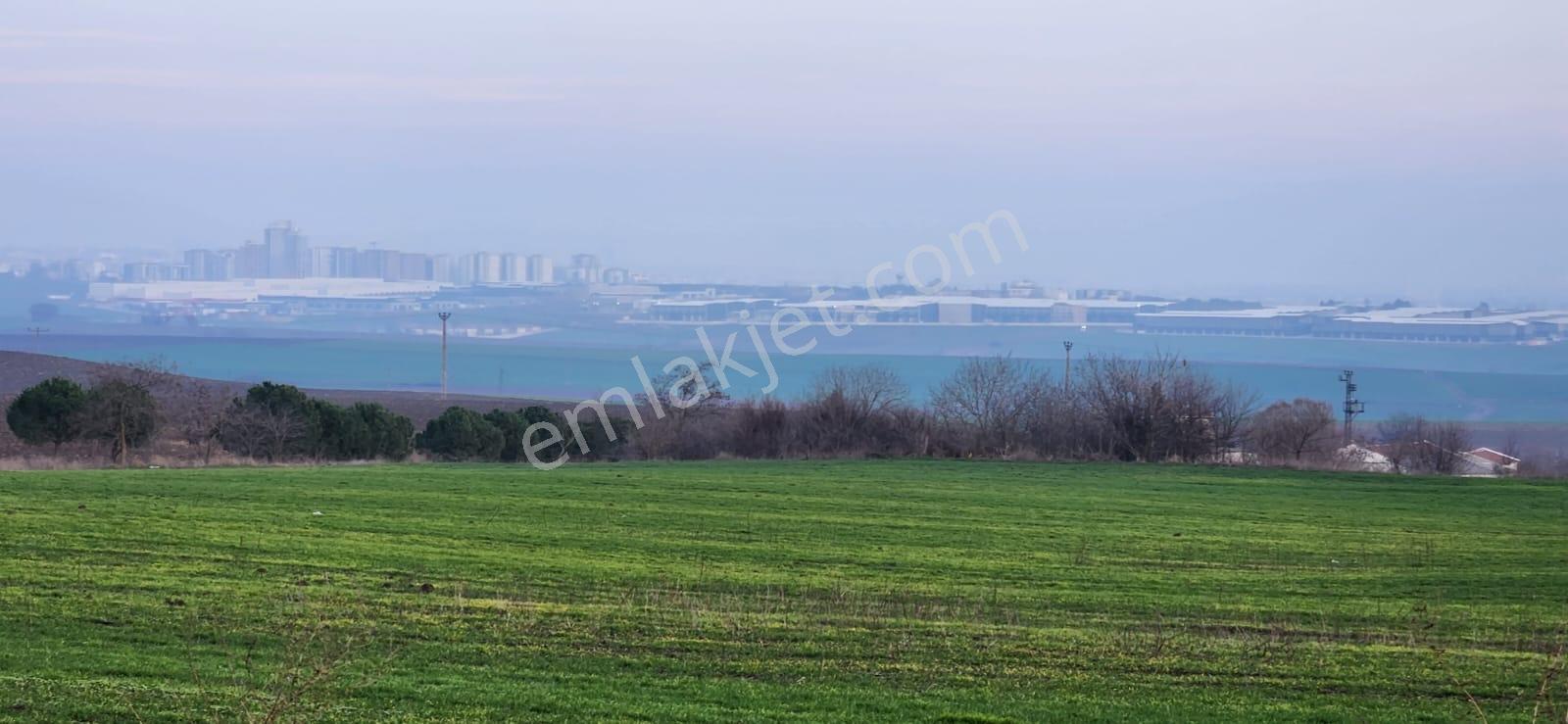 Tekirdağ Çorlu Hatipte Kaçırılmayacak Fırsat Tarla — fotoğraf 11
