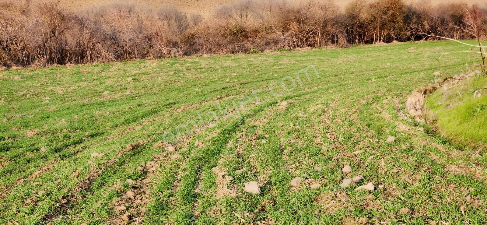 Tekirdağ Çorlu Hatipte Kaçırılmayacak Fırsat Tarla — fotoğraf 12
